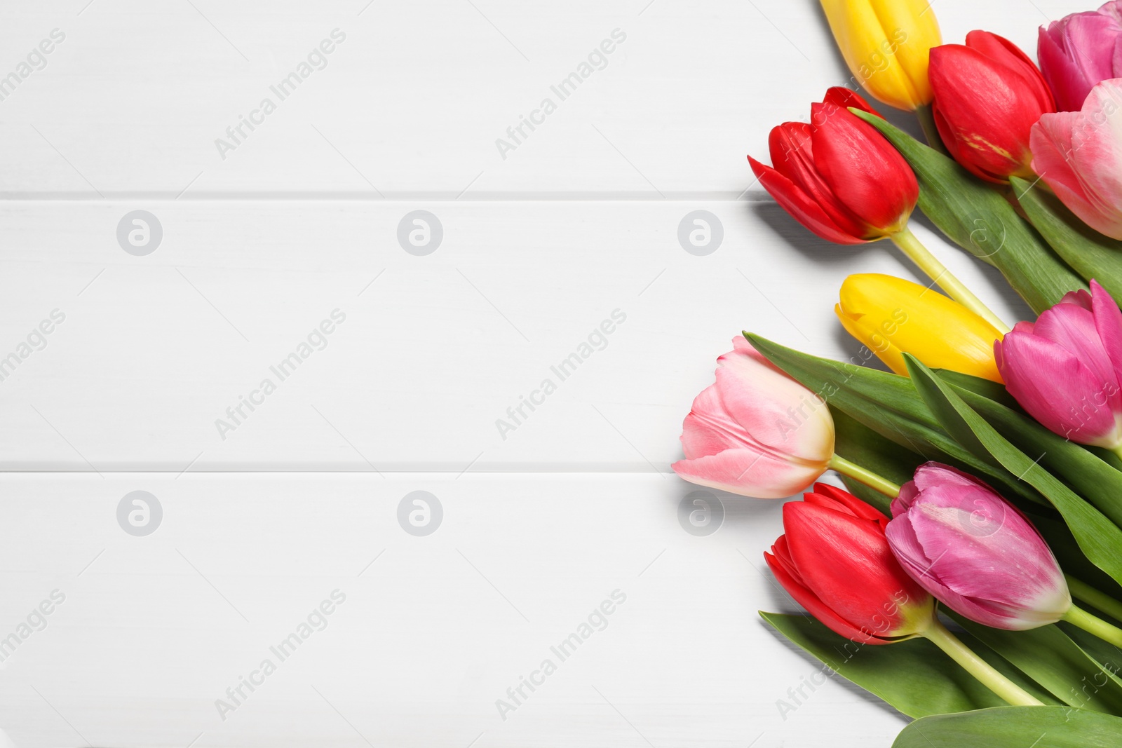 Photo of Beautiful colorful tulip flowers on white wooden table, flat lay. Space for text