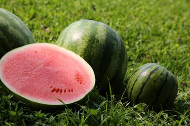 Delicious ripe watermelons on green grass outdoors, closeup