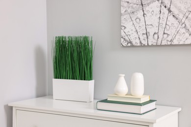 Photo of Potted artificial plant, books and decor on white chest of drawers indoors
