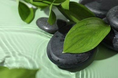 Photo of Spa stones and fresh leaves on light green background, closeup