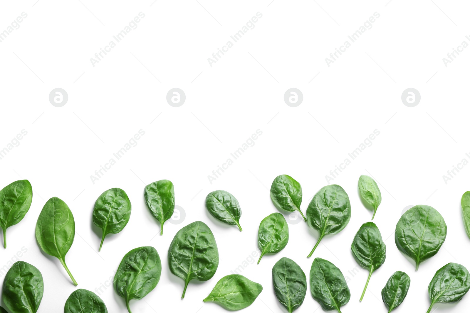 Photo of Fresh green healthy baby spinach leaves on white background, top view