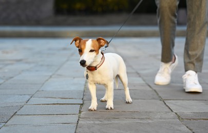 Man with adorable Jack Russell Terrier on city street, closeup. Dog walking