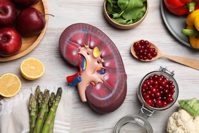 Photo of Flat lay composition with kidney model and different products on white wooden table