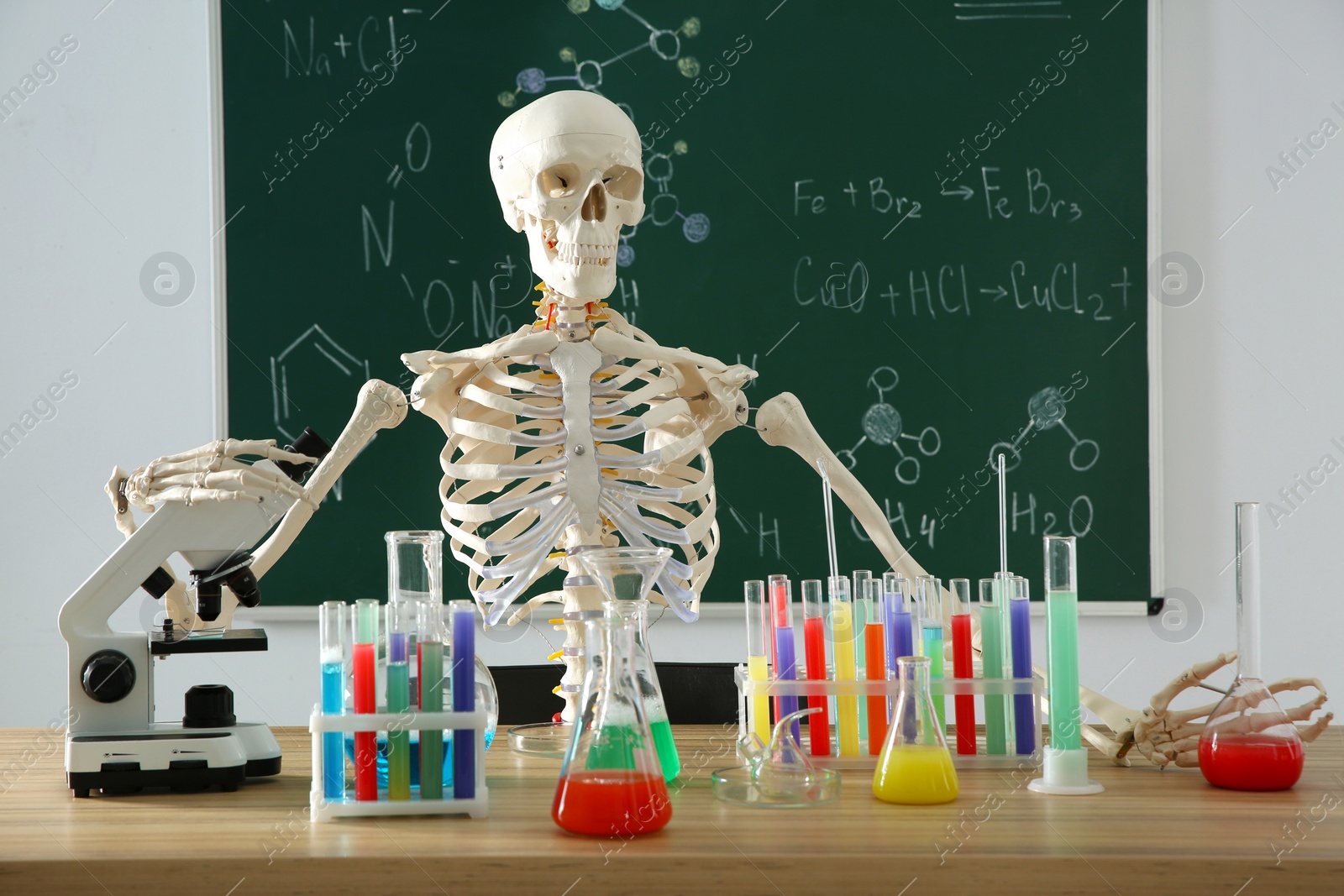 Photo of Skeleton and different chemistry glassware in classroom