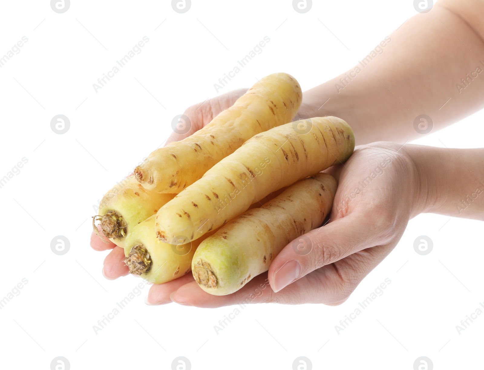 Photo of Woman holding raw carrots on white background, closeup