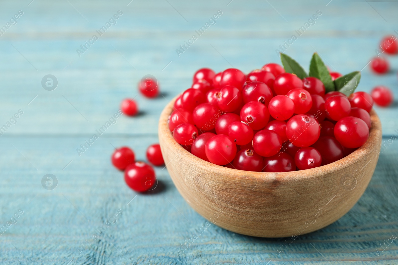 Photo of Tasty ripe cranberries on light blue wooden table, closeup. Space for text