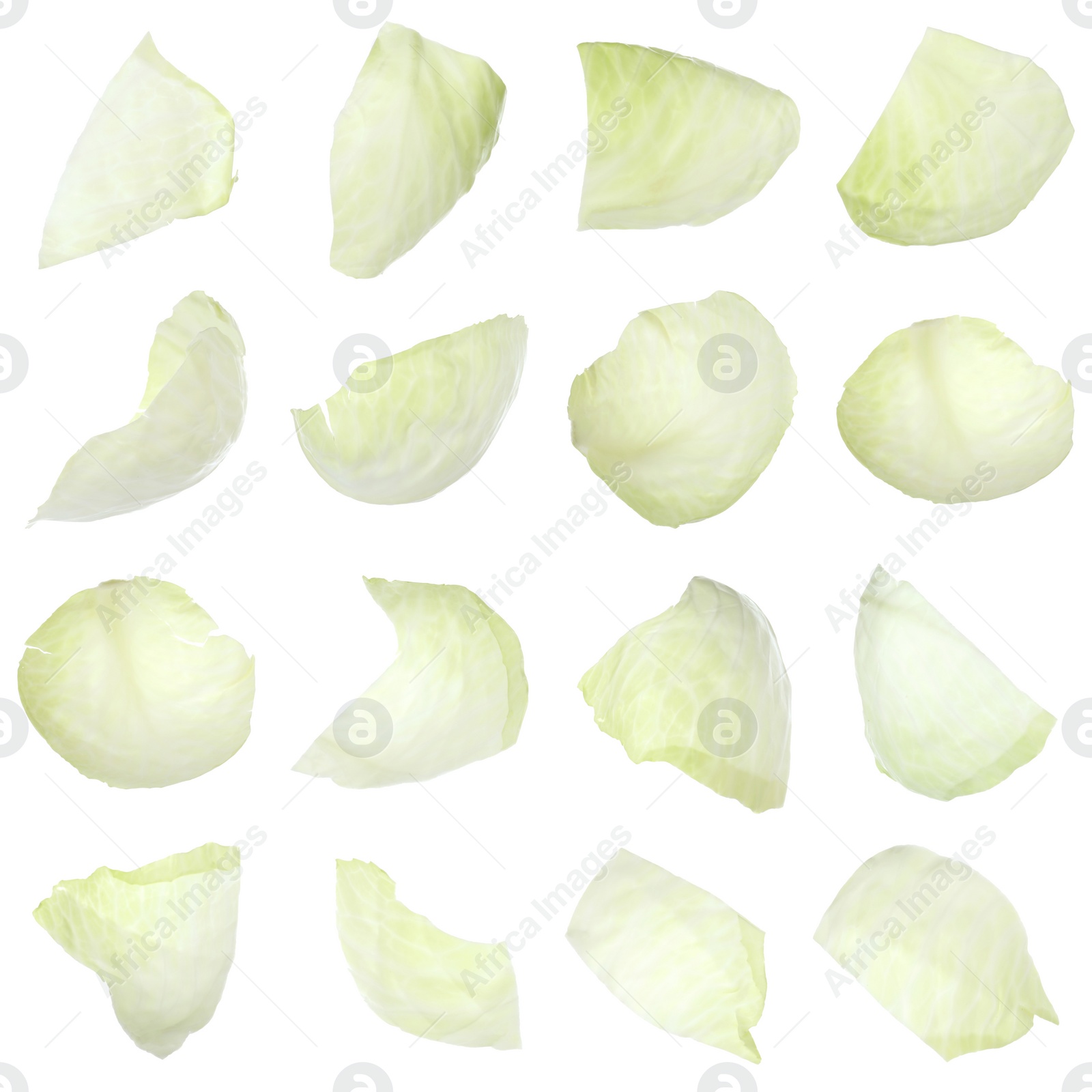 Image of Set with fresh leaves of cabbage on white background