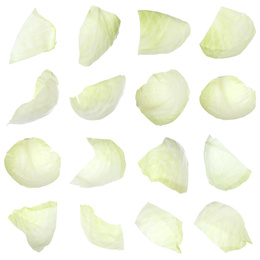 Set with fresh leaves of cabbage on white background