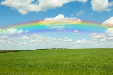 Image of Beautiful rainbow in blue sky over green field on sunny day