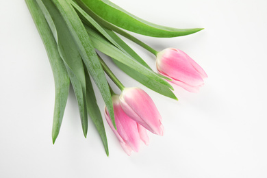 Photo of Beautiful pink spring tulips on white background, top view