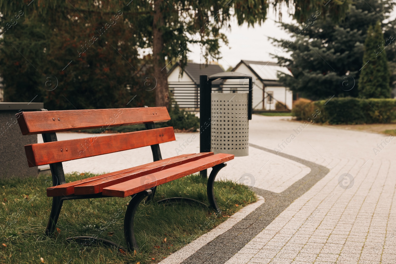 Photo of Beautiful trees, pathway and bench in park