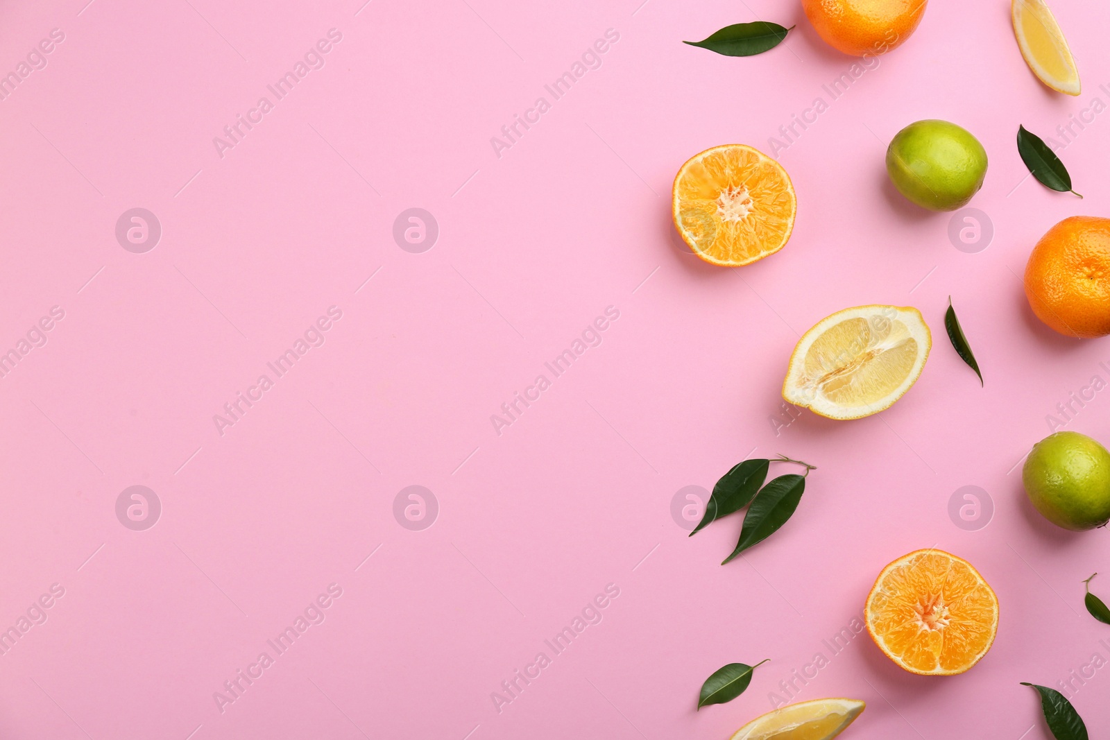 Photo of Flat lay composition with tangerines and different citrus fruits on pink background. Space for text