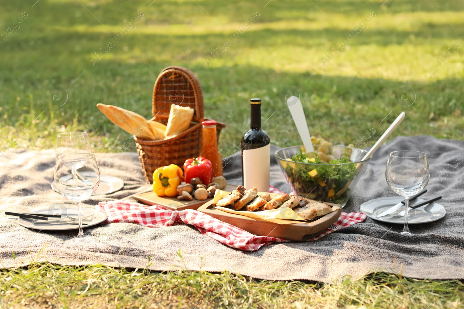 Photo of Blanket with food prepared for summer picnic outdoors