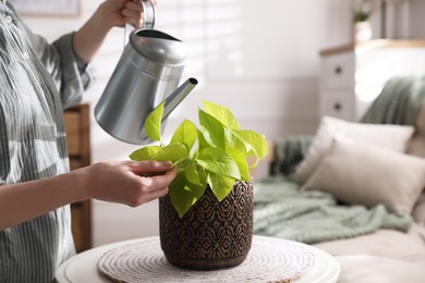 Woman watering beautiful potted plant indoors, closeup. Floral house decor