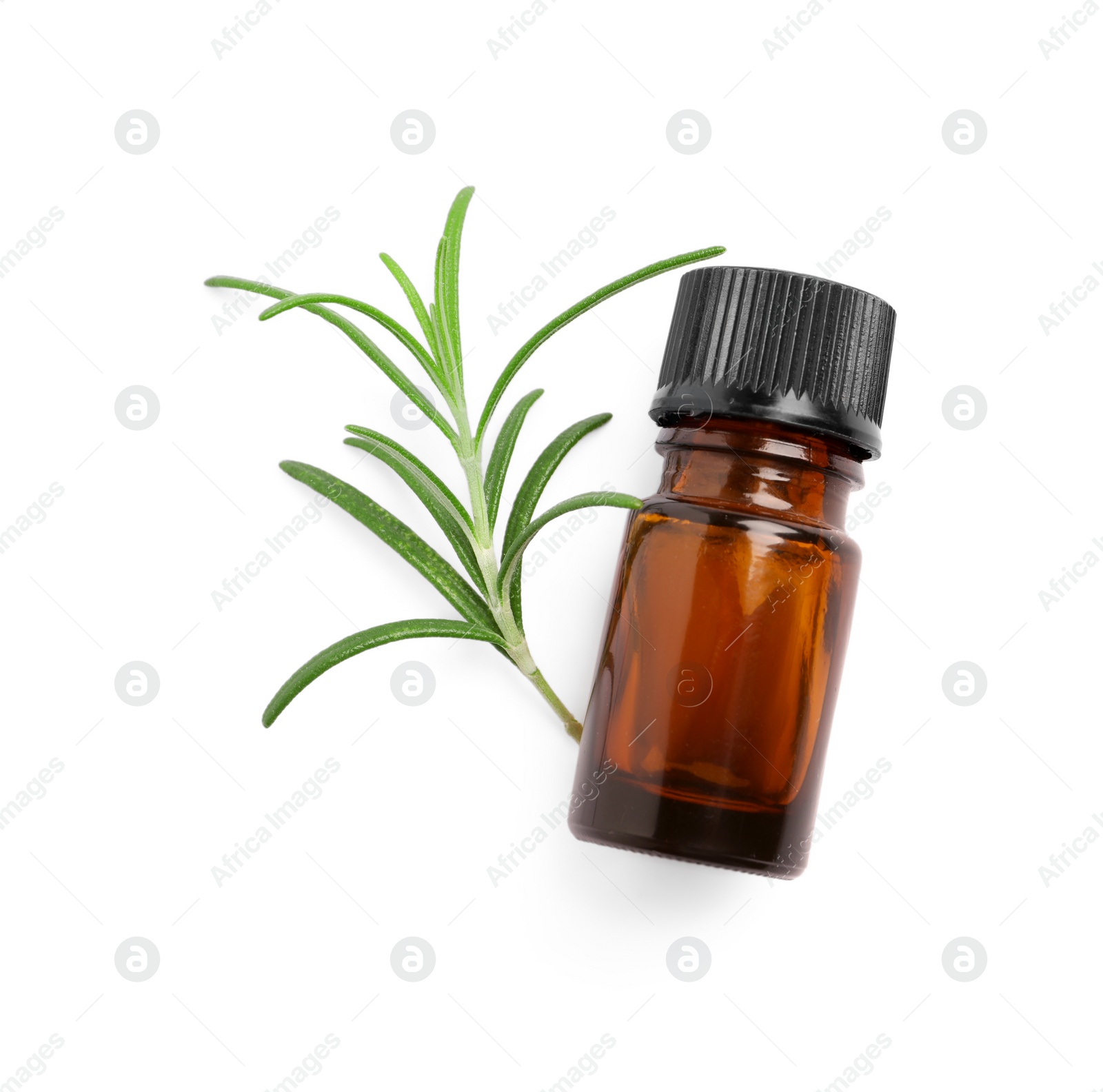 Photo of Sprig of fresh rosemary and essential oil on white background, top view