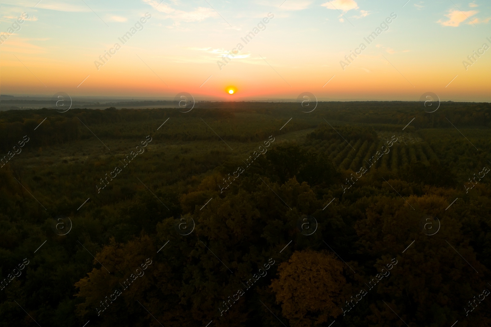 Image of Aerial view of beautiful green autumn forest at sunset