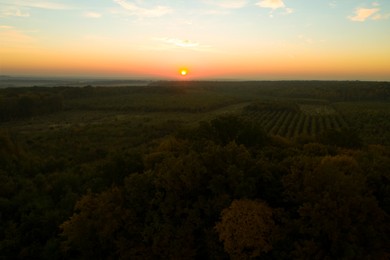Image of Aerial view of beautiful green autumn forest at sunset