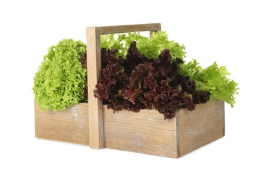 Photo of Wooden crate with different sorts of lettuce on white background