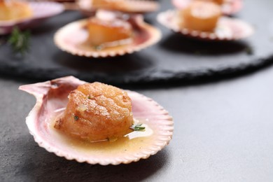 Photo of Delicious fried scallop in shell on grey table, closeup. Space for text