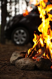 Photo of Beautiful bonfire with burning firewood near car in forest, closeup
