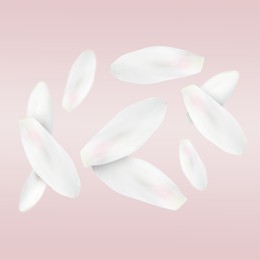 Image of Lotus flower petals falling on light pink background