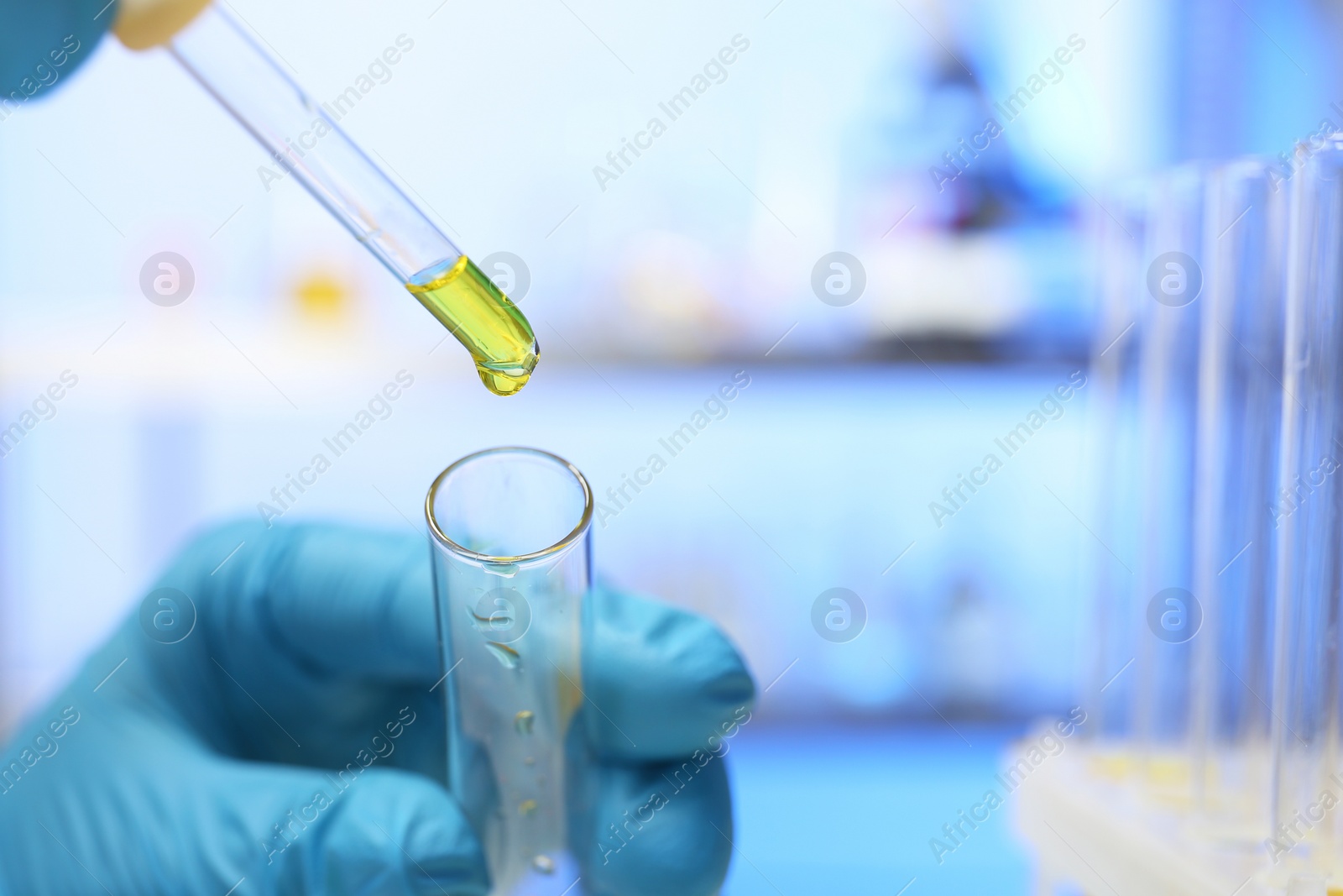 Photo of Laboratory assistant dripping urine sample from pipette into test tube, closeup with space for text. Medical analysis