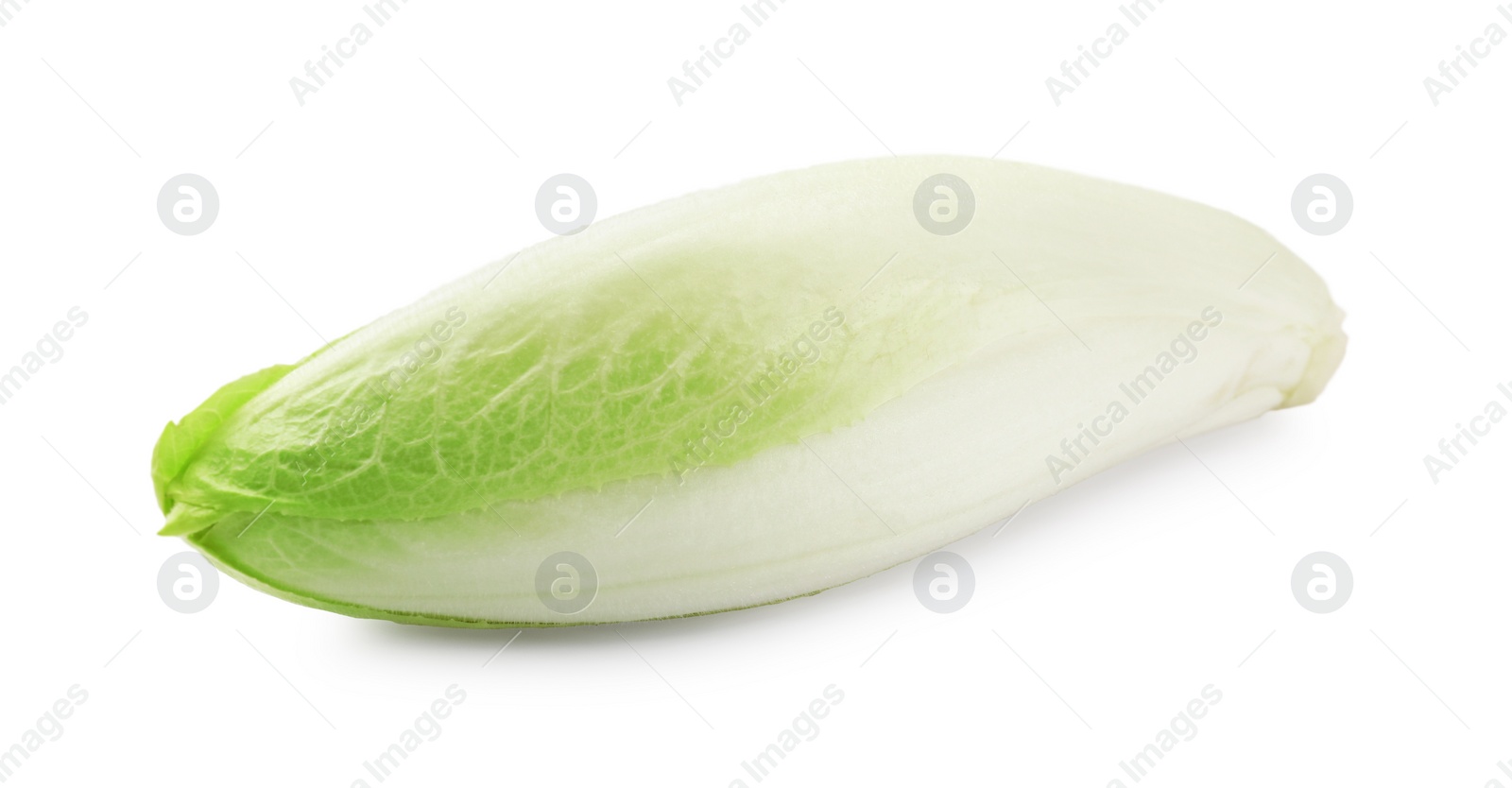 Photo of One raw ripe chicory isolated on white