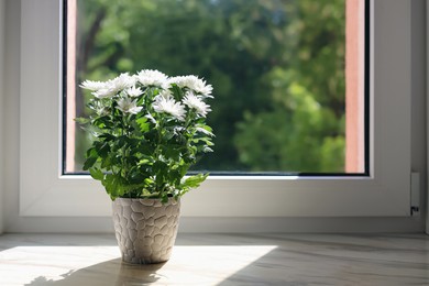 Photo of Beautiful potted chrysanthemum flowers on white window sill indoors. Space for text