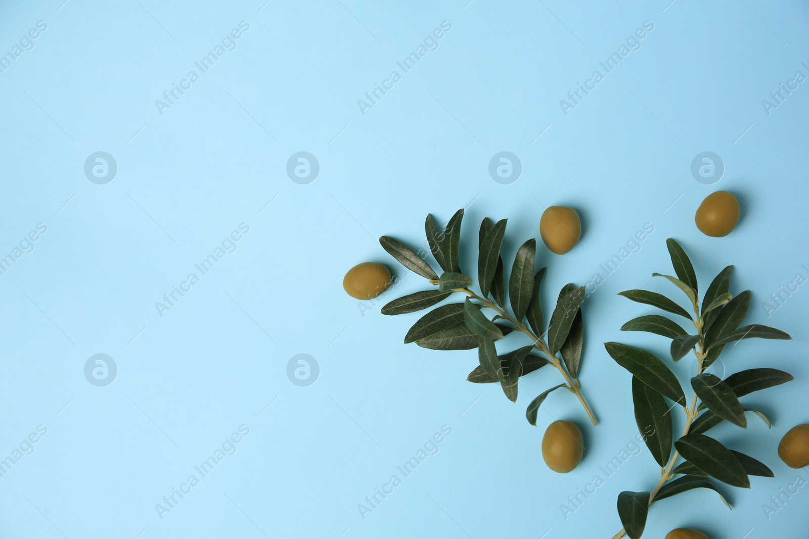 Photo of Fresh olives and green leaves on light blue background, flat lay. Space for text