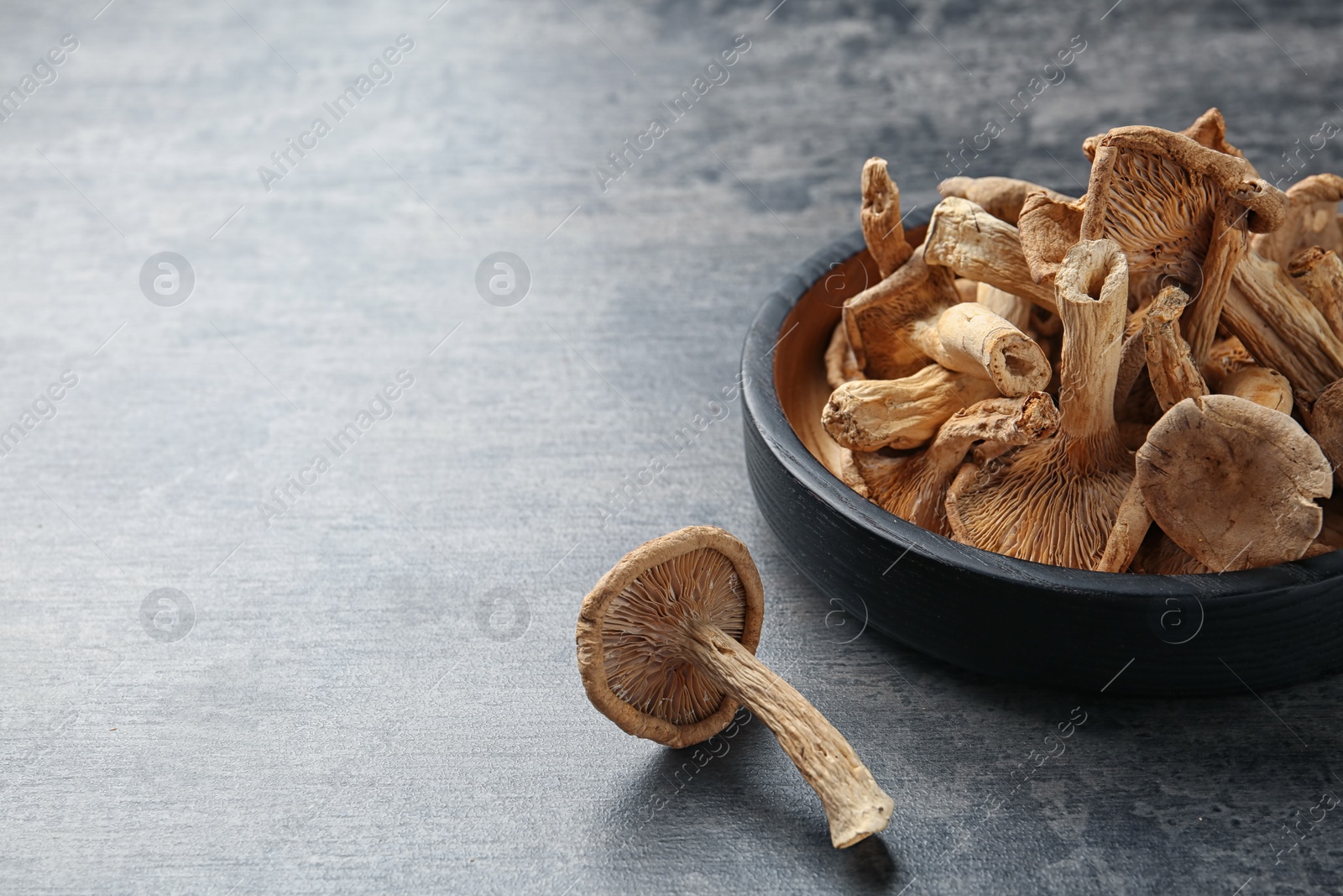 Photo of Composition of dried mushrooms and plate on color background. Space for text