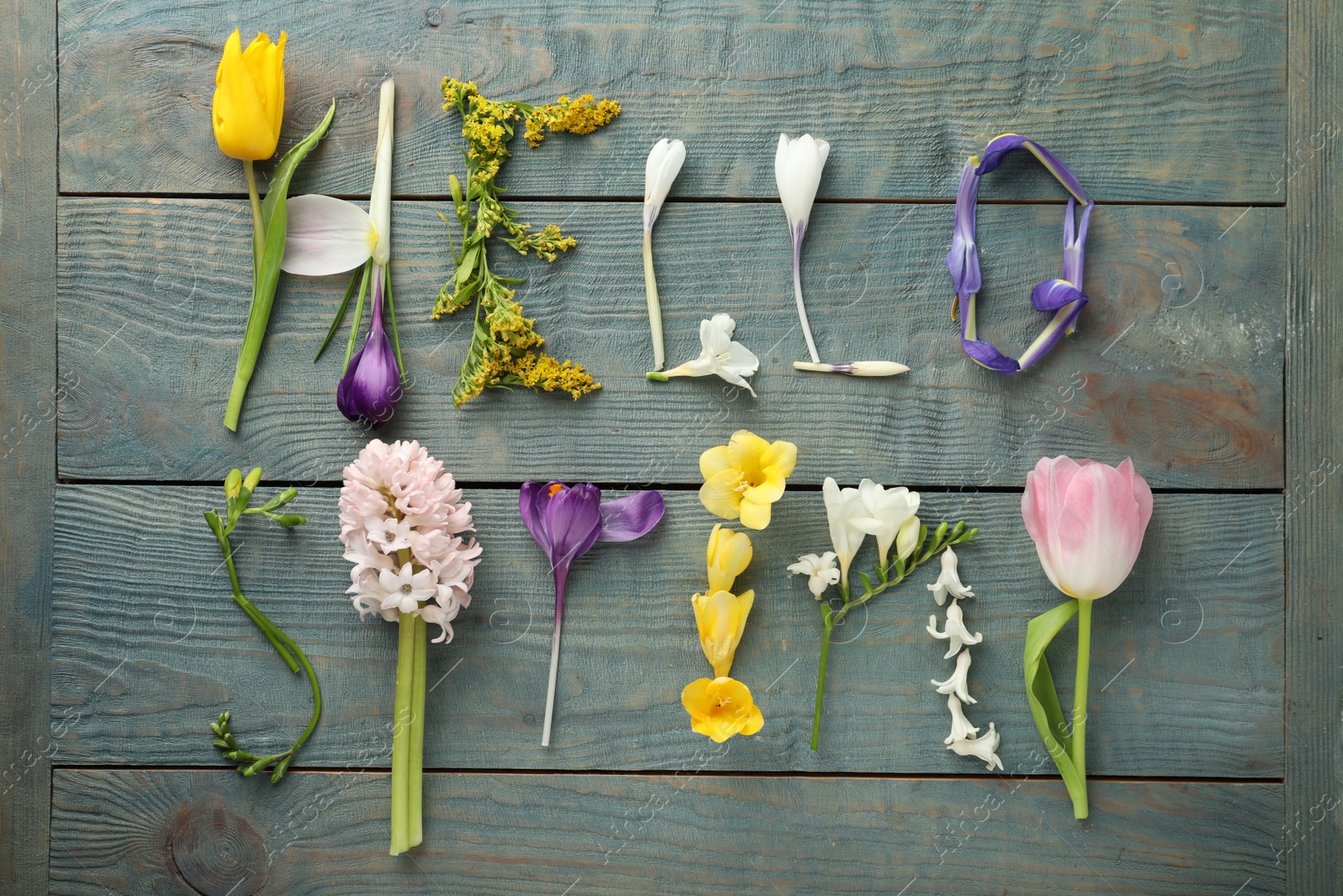 Photo of Words HELLO SPRING made of fresh flowers on light blue wooden table, flat lay