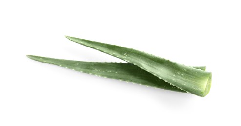 Photo of Green aloe vera leaves isolated on white