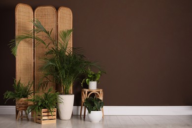 Photo of Many beautiful houseplants near brown wall indoors, space for text. Interior design