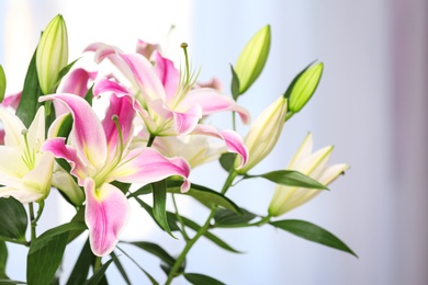 Photo of Bouquet of beautiful lilies on blurred background, closeup. Space for text