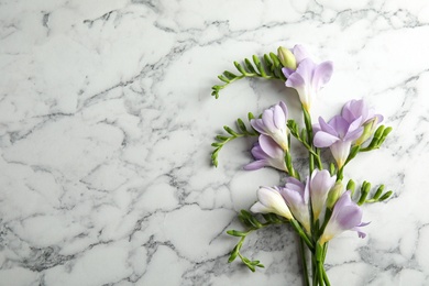 Beautiful fresh freesia flowers on marble background, top view. Space for text