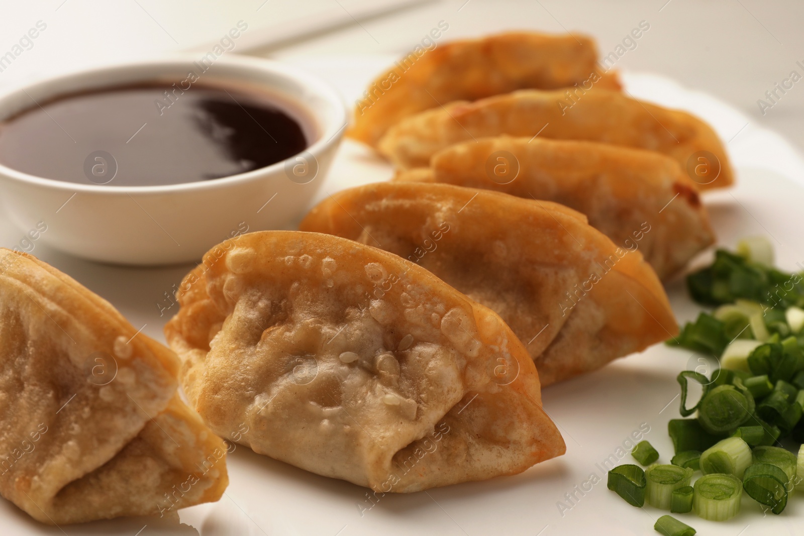 Photo of Delicious gyoza (asian dumplings) with green onions and soy sauce on plate, closeup