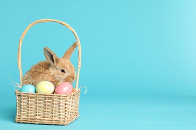 Photo of Adorable furry Easter bunny in wicker basket with dyed eggs on color background, space for text