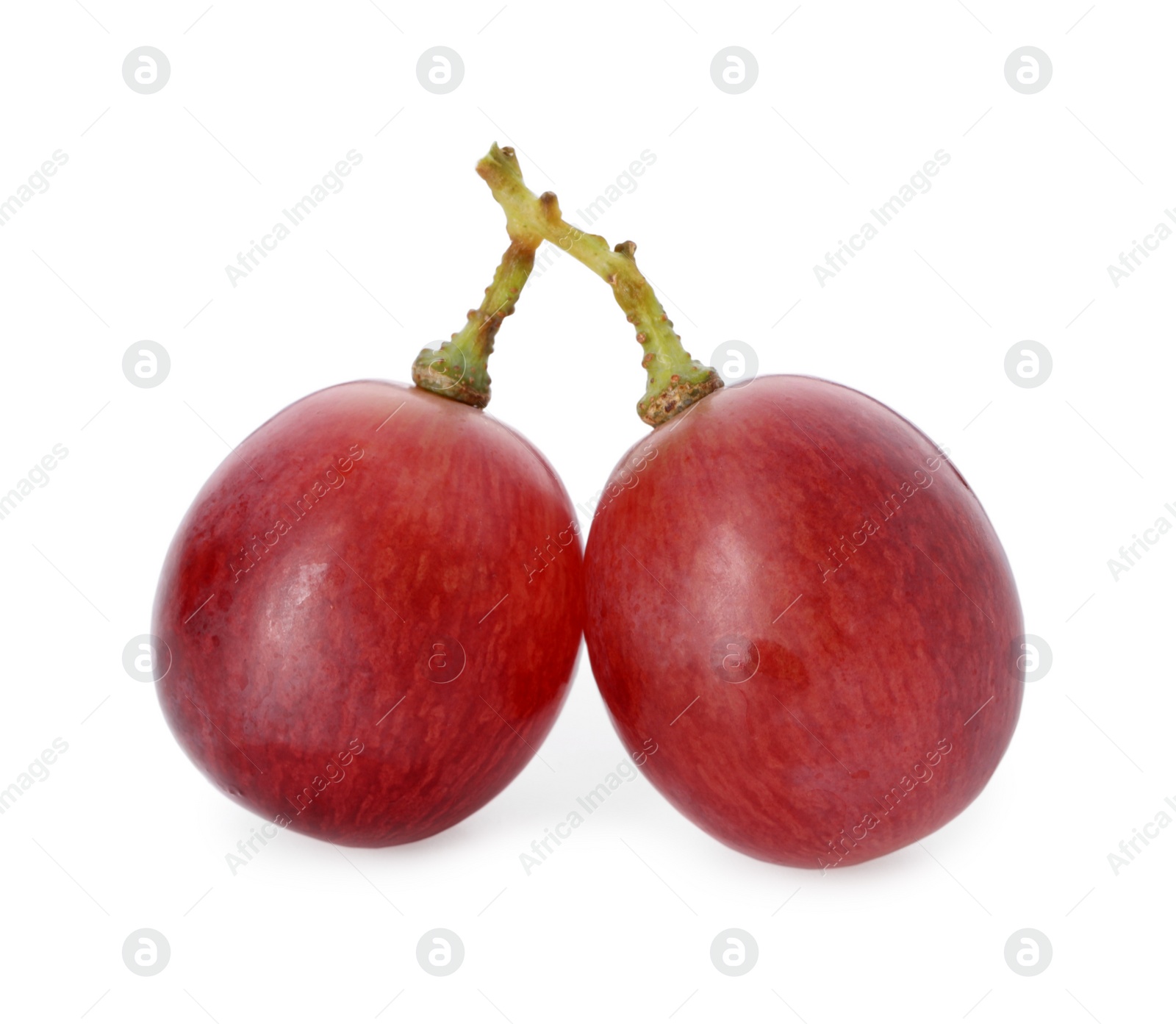 Photo of Two ripe red grapes isolated on white