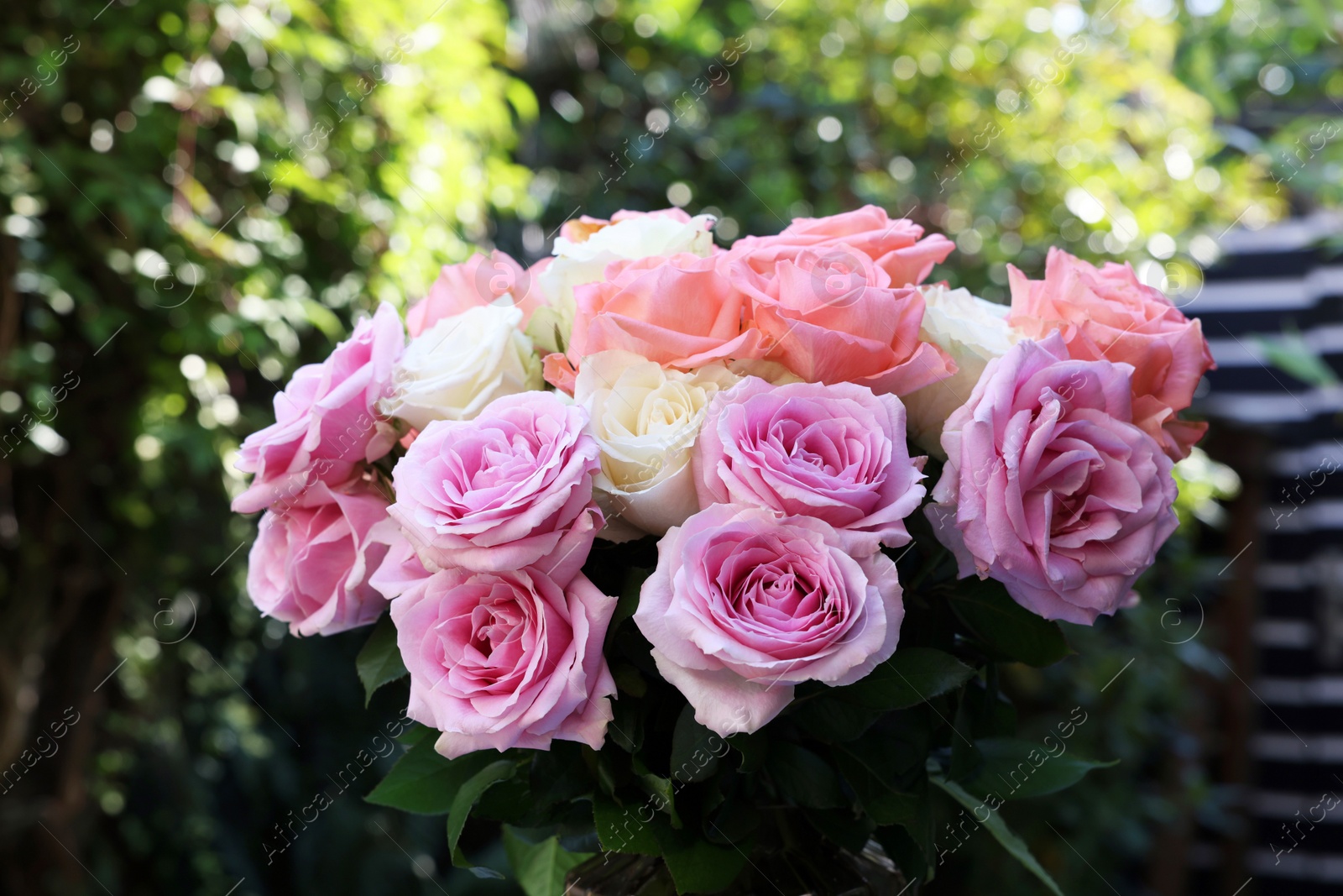 Photo of Beautiful bouquet of aromatic roses outdoors, closeup