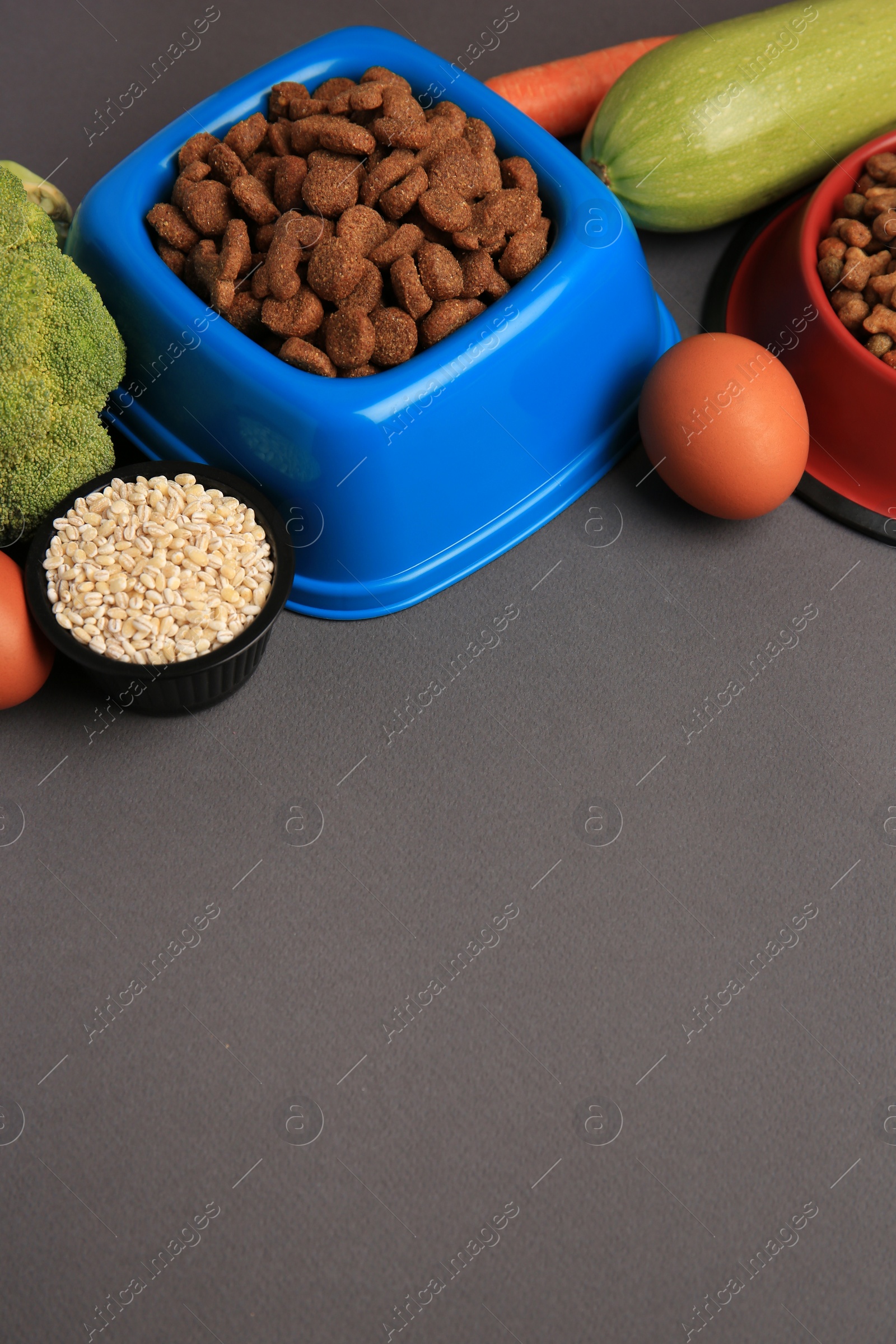 Photo of Dry pet food and products on black background, space for text