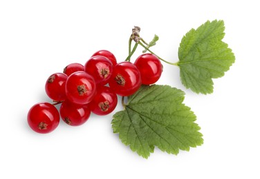 Photo of Bunch of fresh ripe redcurrants and green leaves isolated on white, top view