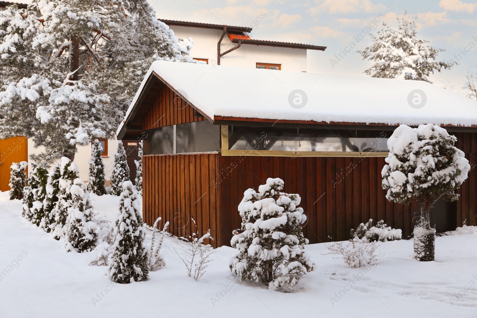 Photo of Winter landscape with wooden house, trees and bushes in morning