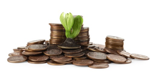 Photo of Coins and green plant on white background. Successful investment