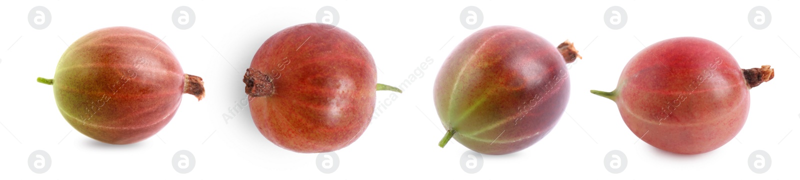 Image of Set with fresh ripe gooseberries on white background. Banner design