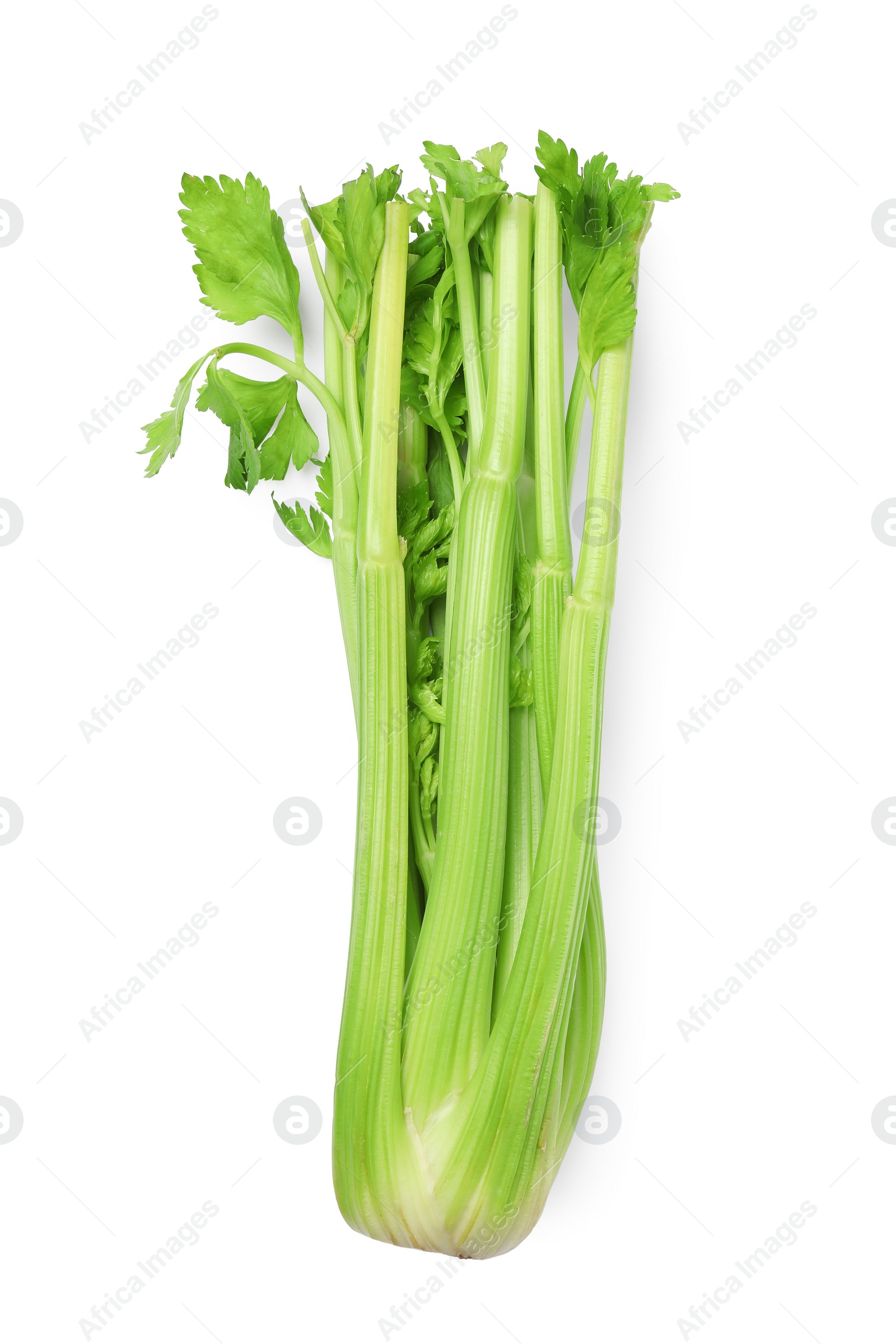 Photo of One fresh green celery bunch isolated on white, top view