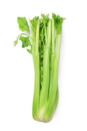 Photo of One fresh green celery bunch isolated on white, top view