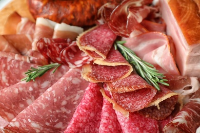 Different tasty meat delicacies with rosemary as background, closeup