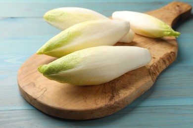 Photo of Fresh raw Belgian endives (chicory) on light blue wooden table, closeup