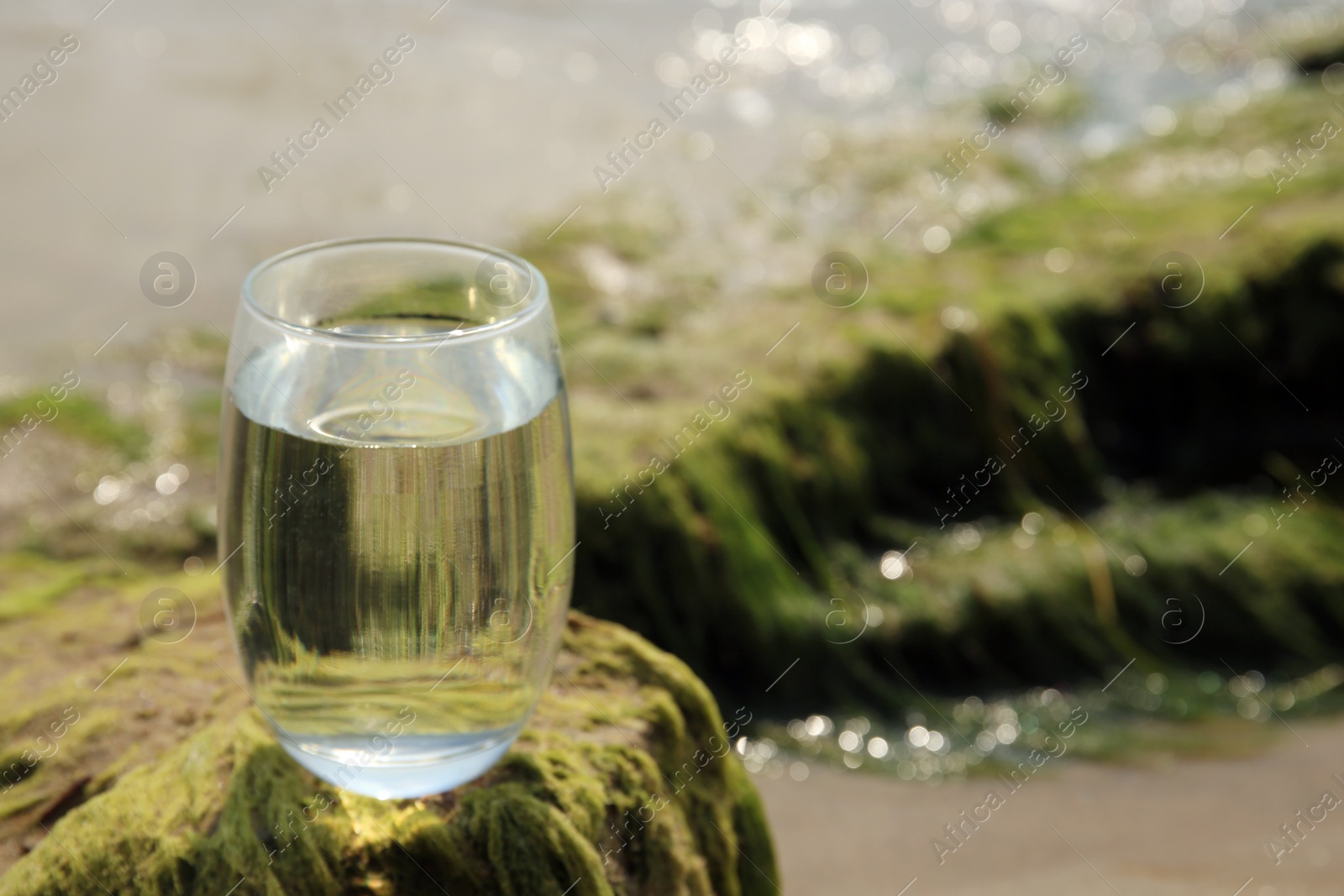 Photo of Glass of fresh water on stone with seaweed near sea, space for text