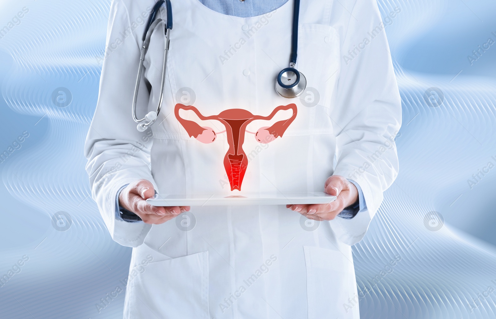 Image of Doctor demonstrating virtual image of infected female reproductive system on light background, closeup. Vaginal candidiasis